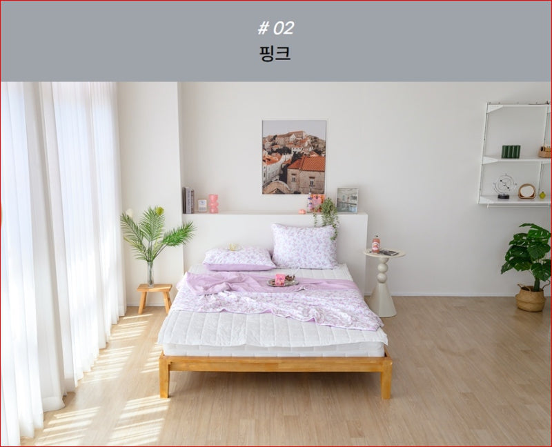 Living Value Dream Cooling Blanket + 2 Pillows Set (3pcs) 리빙밸류 드림 냉감이불 + 베개 2개 세트 3종 구성
