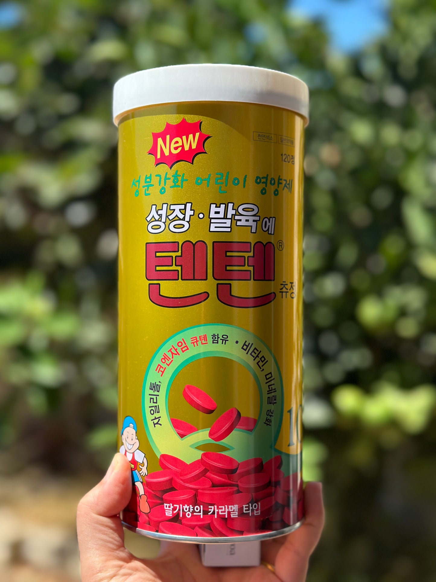 텐텐 어린이 영양제 120정 × 2통 + 보관함 세트 (10정 추가 증정) Tenten Kids Multivitamin – 2 Bottles (120ct each) + Case + Bonus 10ct